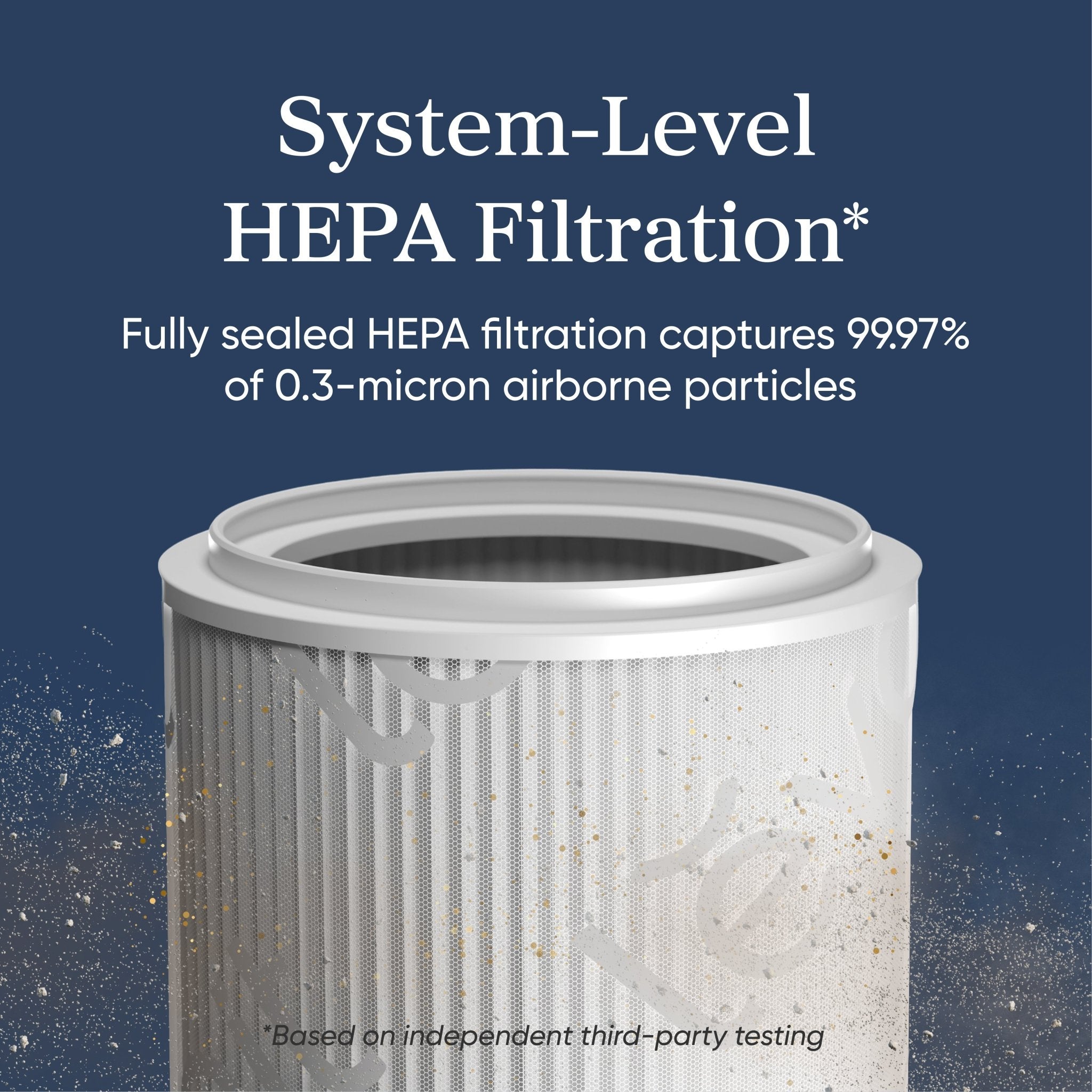 Wildfire Protection Bundle - Levoit Eleva 300X + Premium Filter - Image 4