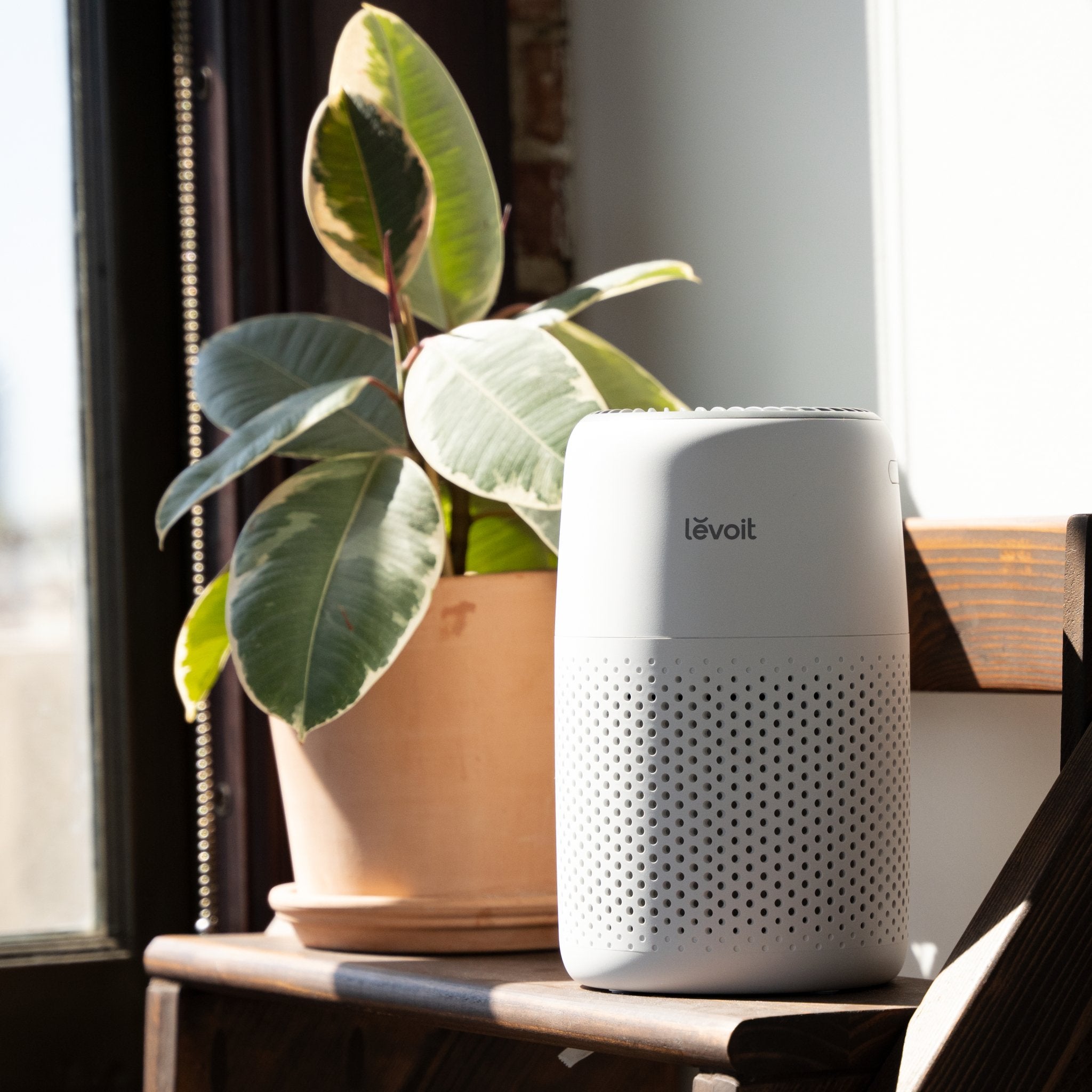 Levoit Core Mini-P Air Purifier - Image 4