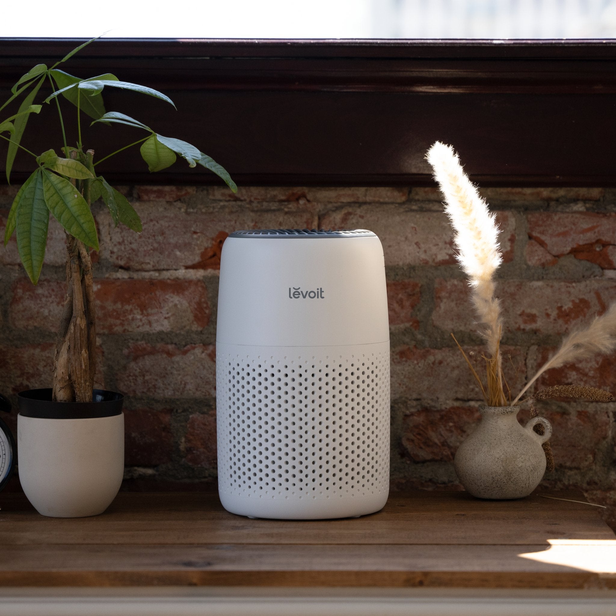 Levoit Core Mini-P Air Purifier - Image 5